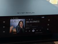 Eversolo T8 High End Streamer, 2 Monate alt, NP Euro 1380