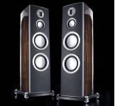 PL 300 - Ebenholz Hochglanz