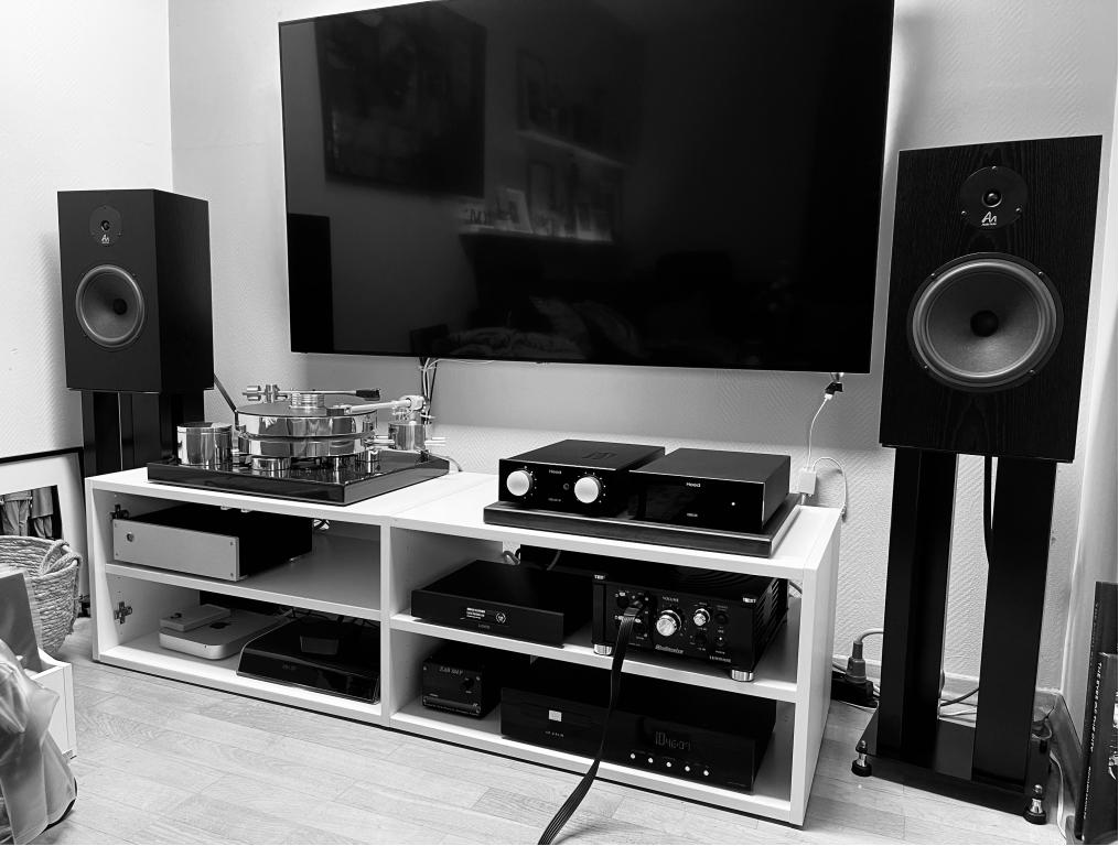Audio Note K/LX in Black Ash & AN Stands für K mit Füllung und Superspikes Soundcare
