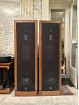 IRS Epsilon Anniversary Evolution mit allen Upgrades zur EVO v. Hartmut Bayer