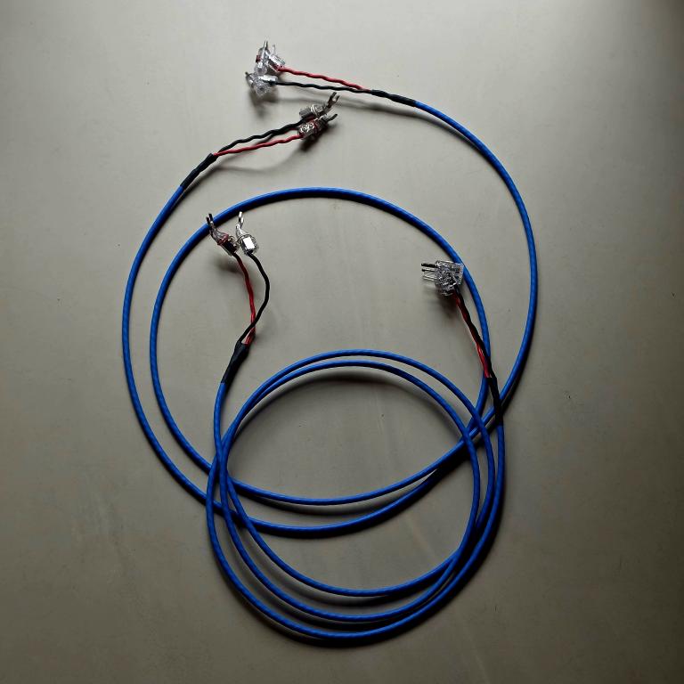 Siltech Siltech LS-100 IQ 2 x 2,5 meter (G7) speaker cable + WBT