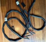 ESPRIT LUMINA SPEAKER CABLE with Spades , 2x2m , perfect condition