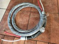 Gryphon Audio VIP Series Reference SPK 2x3m Hi END