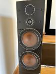 2 x Dali Callisto C in schwarz + Sound Hub + BueOS Modul