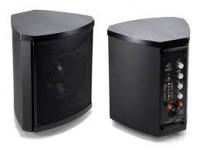 aktiver Subwoofer Martin Logan Grotto I - Esche schwarz-