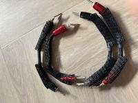 Audioquest Dragon jumper biwire