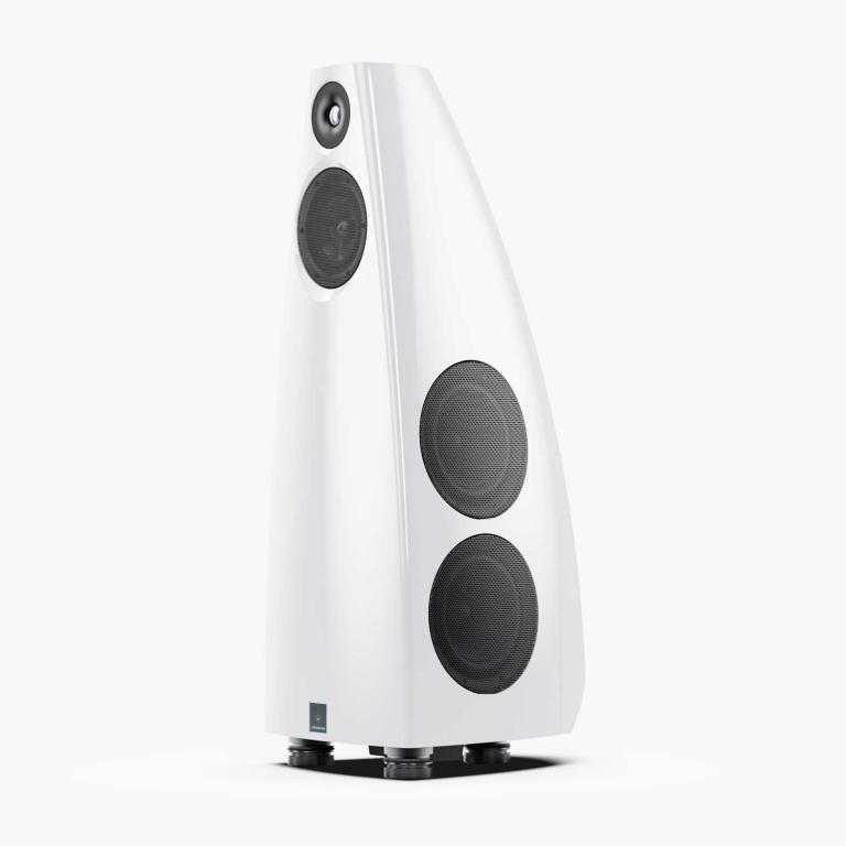 Meridian Meridian DSP9 (4906306933) New device Active Speaker
