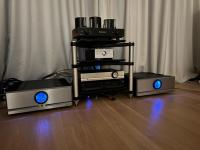 Pass Labs XA60.8 - mono power amp.