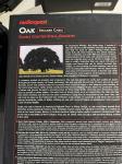 Oak Speaker Cables 3m