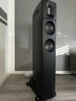 Borresen LS2 Cryo – Exklusive Standlautsprecher aus seltener Kabinettserie (nur ca. 10 Paar weltweit)