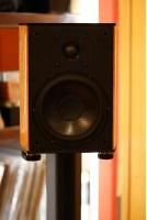 Wilson ARC Standing Speakers
