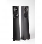 YG Acoustics CARMEL 2