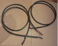 Straight Wire Virtuoso speaker cables (3m long)
