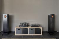 Pearl Acoustics Model One (Sibelius) – Inkl. Stands & OVP