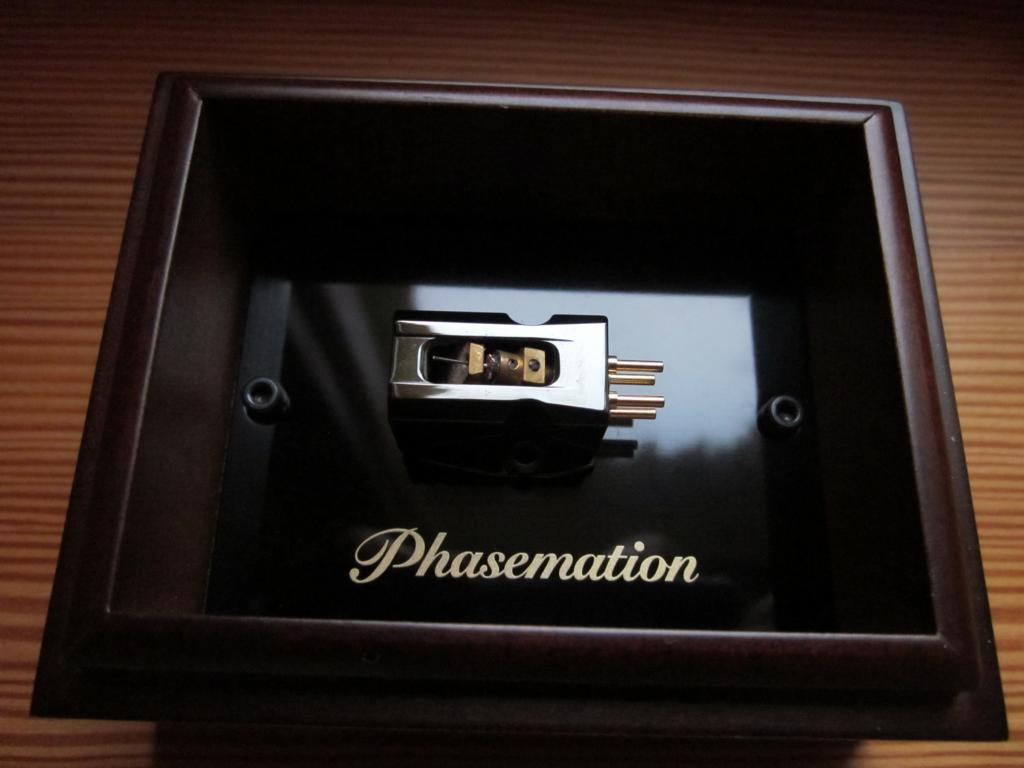 PP1000