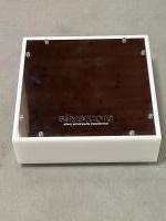 MC-Pro 1:20 - Reinsilber