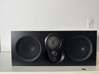Linn Akurate 225 MK2 High End Centerlautsprecher Lautsprecher in Esche schwarz