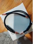 Thunderbird