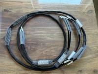 High-End LS-Kabel: Ansuz Acoustics Speakz A2 – 2x 2,0 Meter (Banane) – Top-Zustand