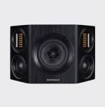 EVO 4.S Eiche schwarz