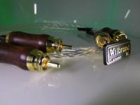 Cinch Woody silver - NEUHEIT