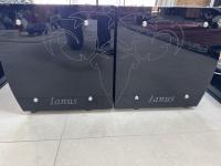 ARIES CÉRAT IANUS ESSENTIA