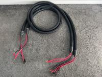 Purist Audio Design Aqueous Aureus High End Bi-Wire Lautsprecherkabel in 3m