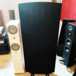 For sale a pair of SOLTANUS VIRTUOSO electrostatic speakers