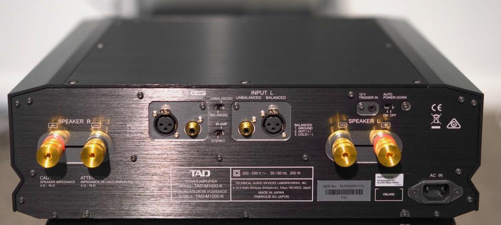TAD M1000 Stereo Endstufe