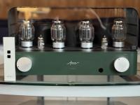 Titania Evolution Evergreen