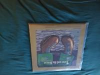 Teaser and the Firecat