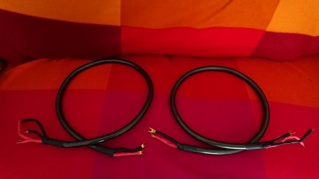 Audioquest DRAGON (High current) - 2m – Studio 23
