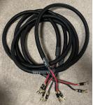 Purist audio design pad poseidon 8  			