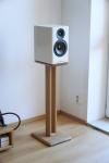 AE500 bookshelf speakers in a mint condition