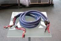 Clear Beyond Speaker 2 x 2,5 Meter - Aussteller