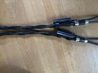 Esprit Eterna G9 highend speaker cable
