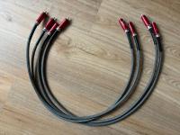 Audiophil Legato Cinch Kabel mit Mundorf / WBT NextGen AG/AU Silber/Gold Cinch Steckern