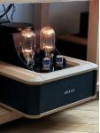 Passion 845 PSE monoblocks ( rca inputs )
