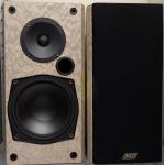 ASW Inkognito ISM 2 - Vogelaugenahorn/ gebeizt -