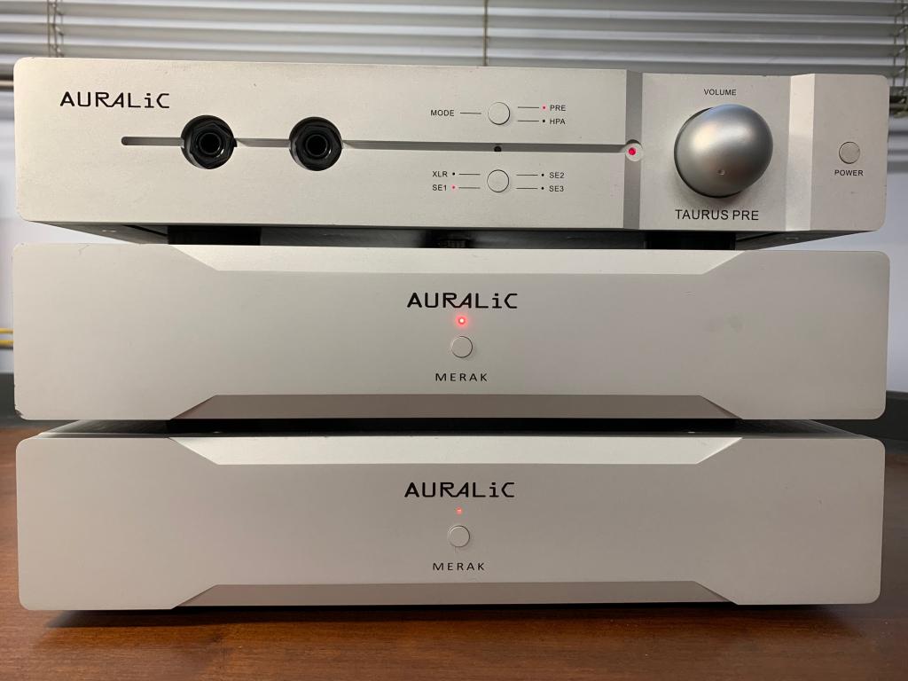 Auralic MERAK Mono Amps (7369730788 