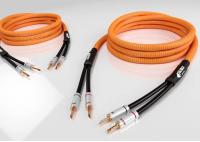 Ricable Dedalus Speaker MKII