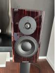 Special Forty Black Vine + Dynaudio Stand 20 Black Satin +++ Verkauf im Kundenauftrag+++ Angebot auf Anfrage +++
