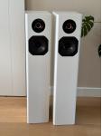 step SPEAKER