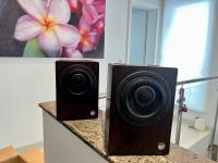 RL 906 in Wenge, kompakter Aktivlausprecher