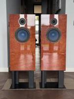 AN-E SPe HE Madrone Burl High gloss