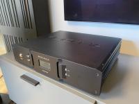 Rockna wavedream signature balanced xlr rca)  			