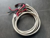 Dunlavy speaker cables or ESOTERIC AUDIO USA Ultra- path speaker Câble