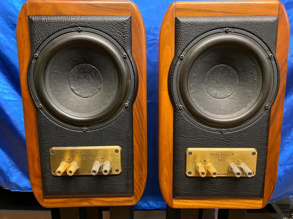 sonus faber electa amator ii