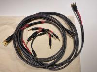Audience au24 SX loudspeaker cable (2.4 meters, spades) + 4 jumpers (banana)
