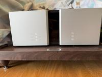 Vitus audio vitus ri 101 mkii  			